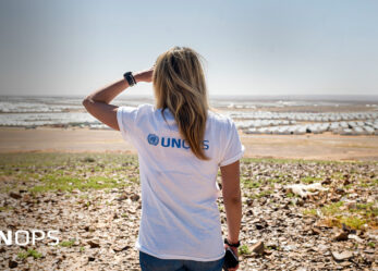 Tirocinio a Copenaghen