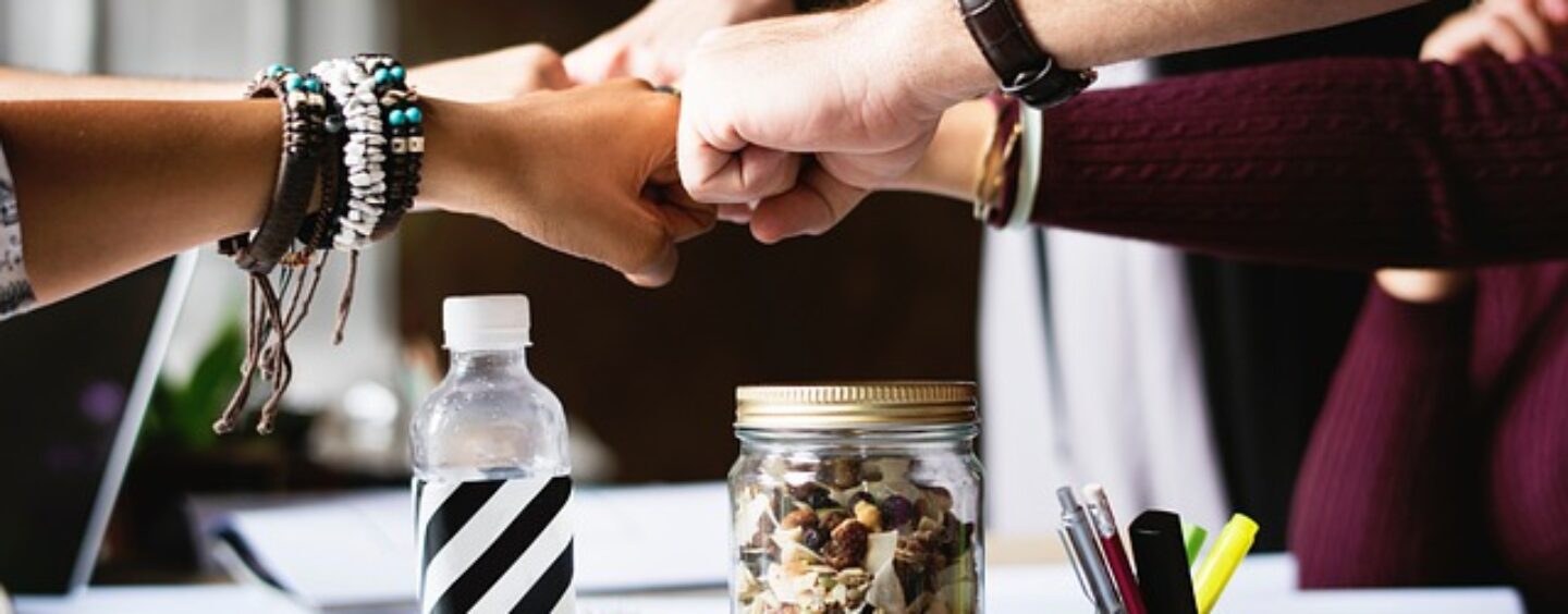 Il Programma GOL per trovare lavoro