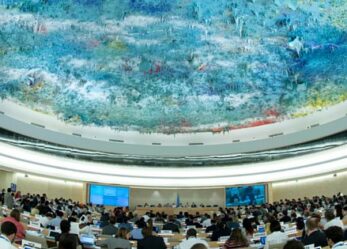 Tirocinio a Ginevra per studenti e laureati