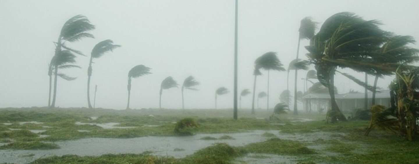 Agenda 2030, Obiettivo 13: lotta contro il cambiamento climatico