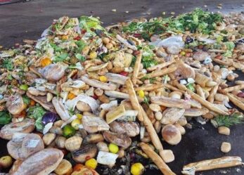 Obiettivo 12 di Agenda 2030: Consumo e produzione responsabili