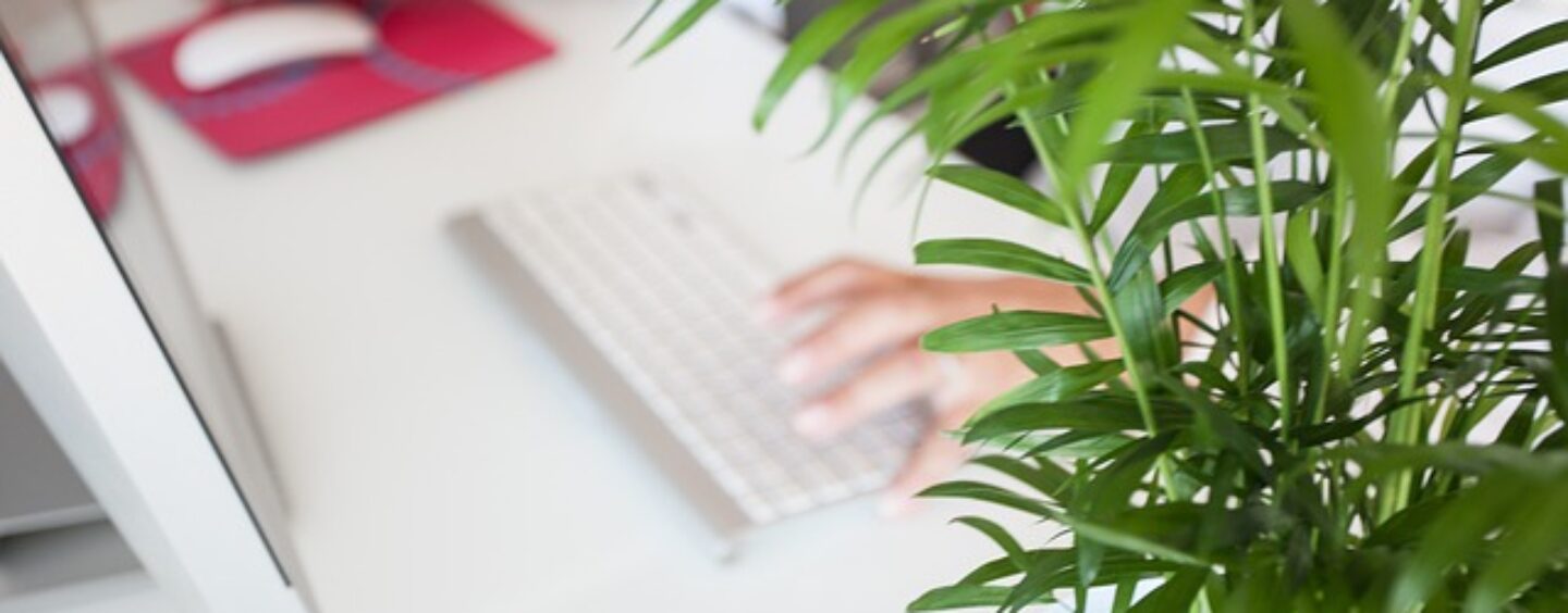 Corso gratuito: addetto alla segreteria