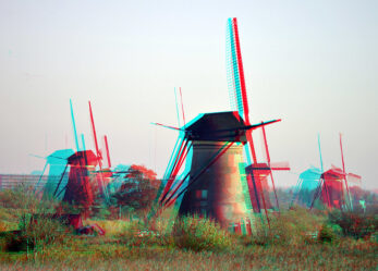 Volontari per il patrimonio dell’umanità