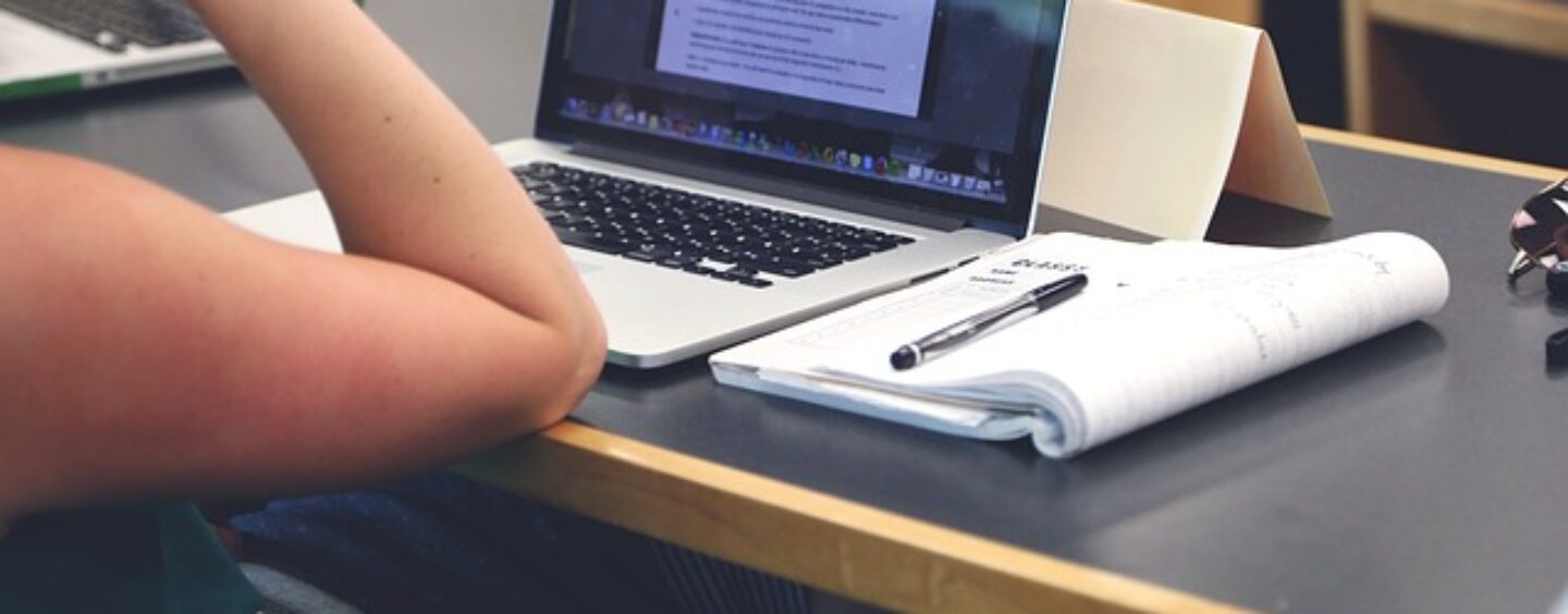 Un aiuto alla tua impresa da Digital Xcelerator