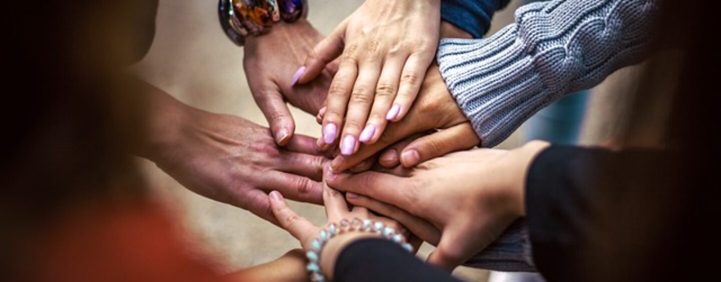 Agenda 2030, Obiettivo 17: partnership per gli obiettivi