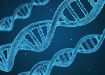 Campionati delle Scienze Naturali – aperte le iscrizioni!