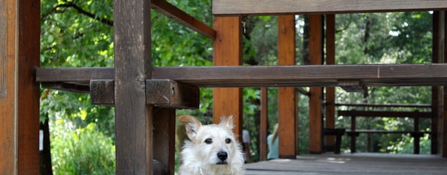 Corso gratuito: Addetti all’accoglienza con lingua inglese