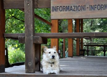 Corso gratuito: Addetti all’accoglienza con lingua inglese