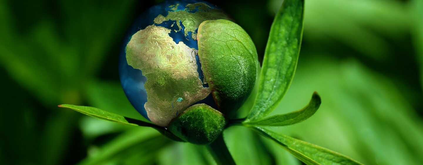 Volontari per la sostenibilità