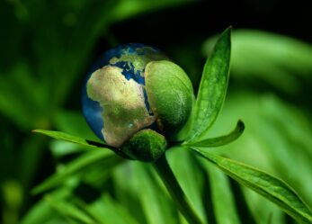 Volontari per la sostenibilità