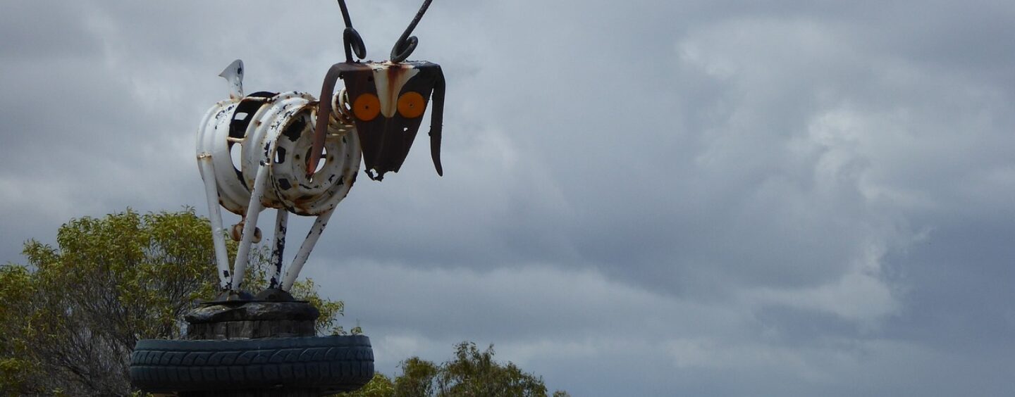 Con la tua scuola per lo sviluppo sostenibile