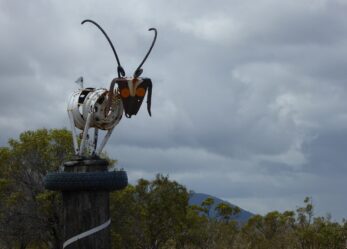 Con la tua scuola per lo sviluppo sostenibile