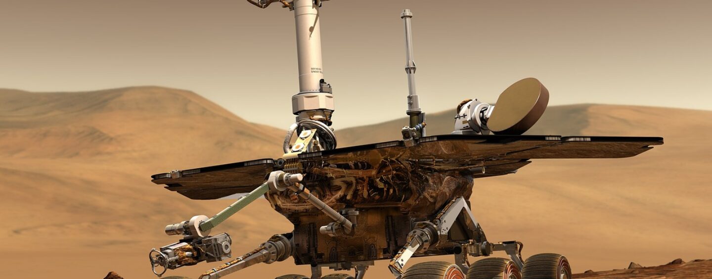 Young entrepreneurs challenge 2023