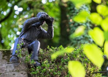 Tirocinio all’Ufficio delle Nazioni Unite per la riduzione del rischio di catastrofi