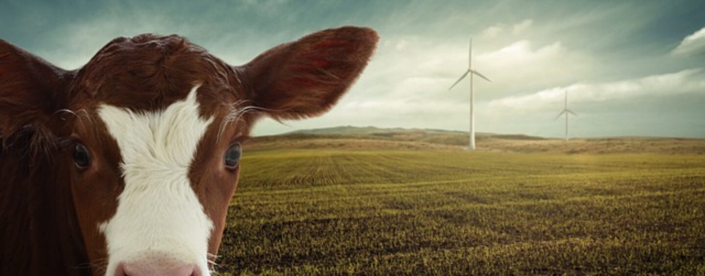 Profili qualificati per un’azienda del settore valorizzazione di fonti rinnovabili