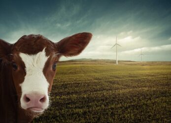 Profili qualificati per un’azienda del settore valorizzazione di fonti rinnovabili