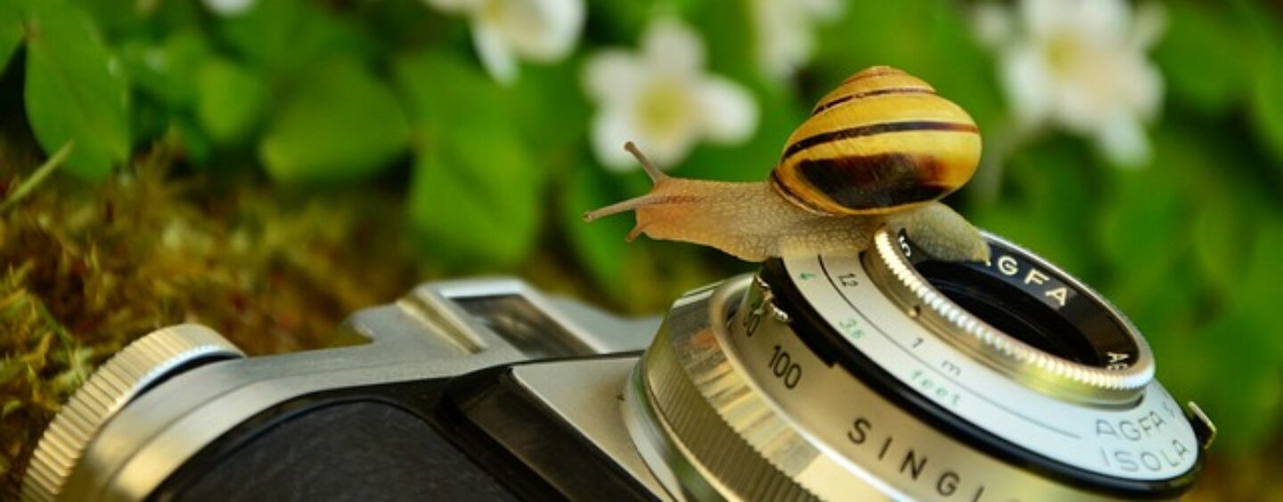 Un concorso fotografico solo per giovani