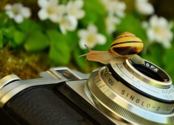 Un concorso fotografico solo per giovani