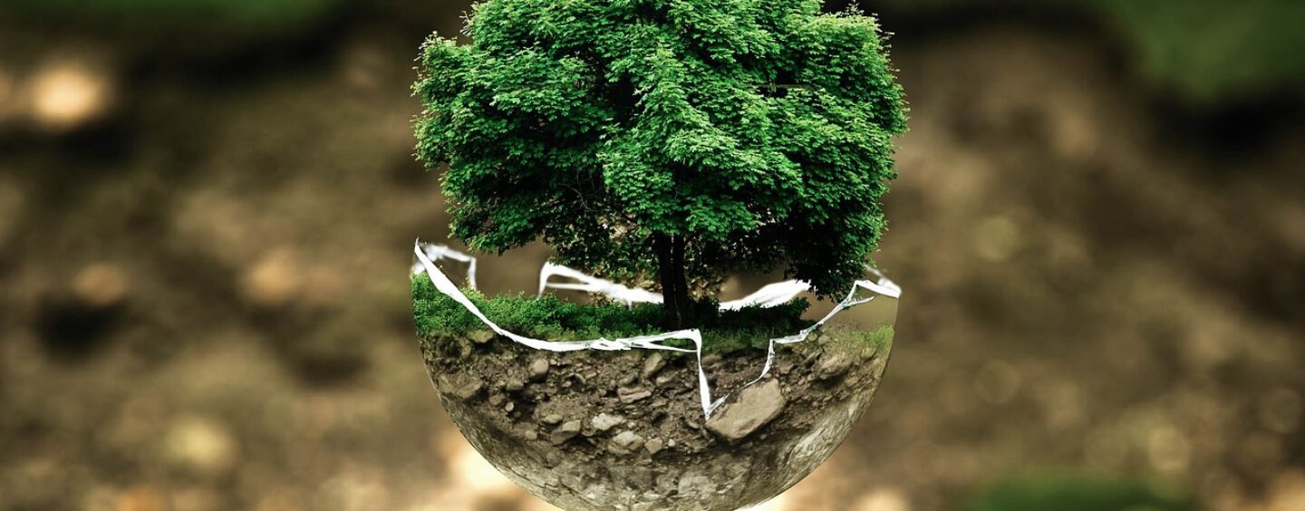 Ambiente? Fai sentire la tua voce