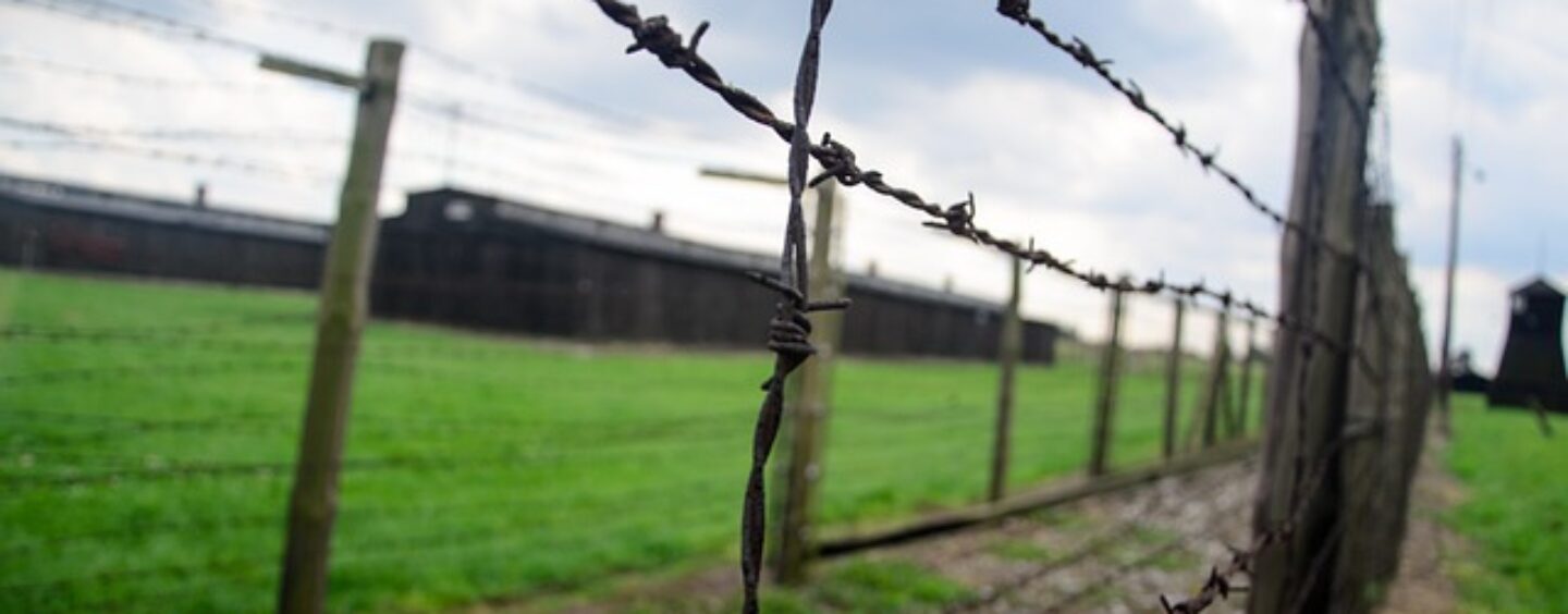 Giorno della memoria, film per non dimenticare