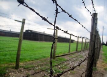 Giorno della memoria, film per non dimenticare