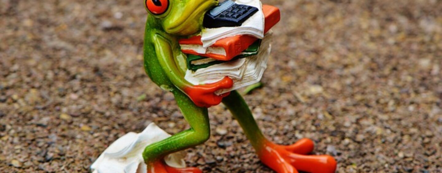 Addetti alla contabilità: corso gratuito