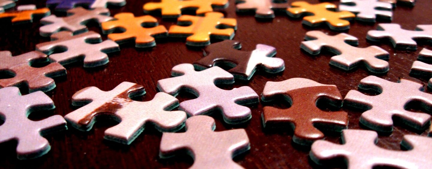 Tirocini OCSE per studenti/esse universitari/e