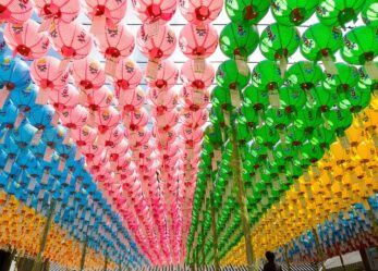 Se la strada non c’è, la costruisco mentre procedo