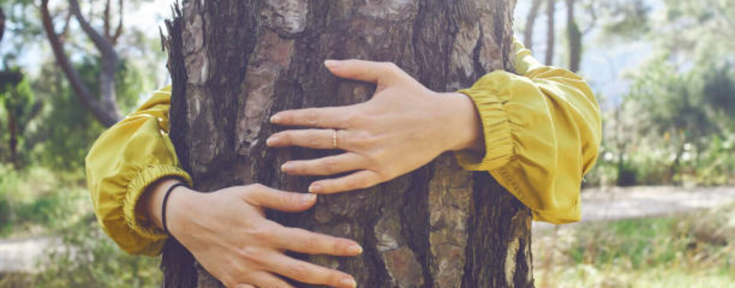 Concorso WWF: contribuisci con la tua classe a rigenerare la città