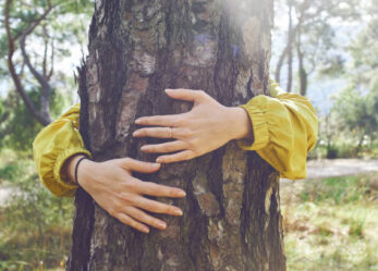 Concorso WWF: contribuisci con la tua classe a rigenerare la città
