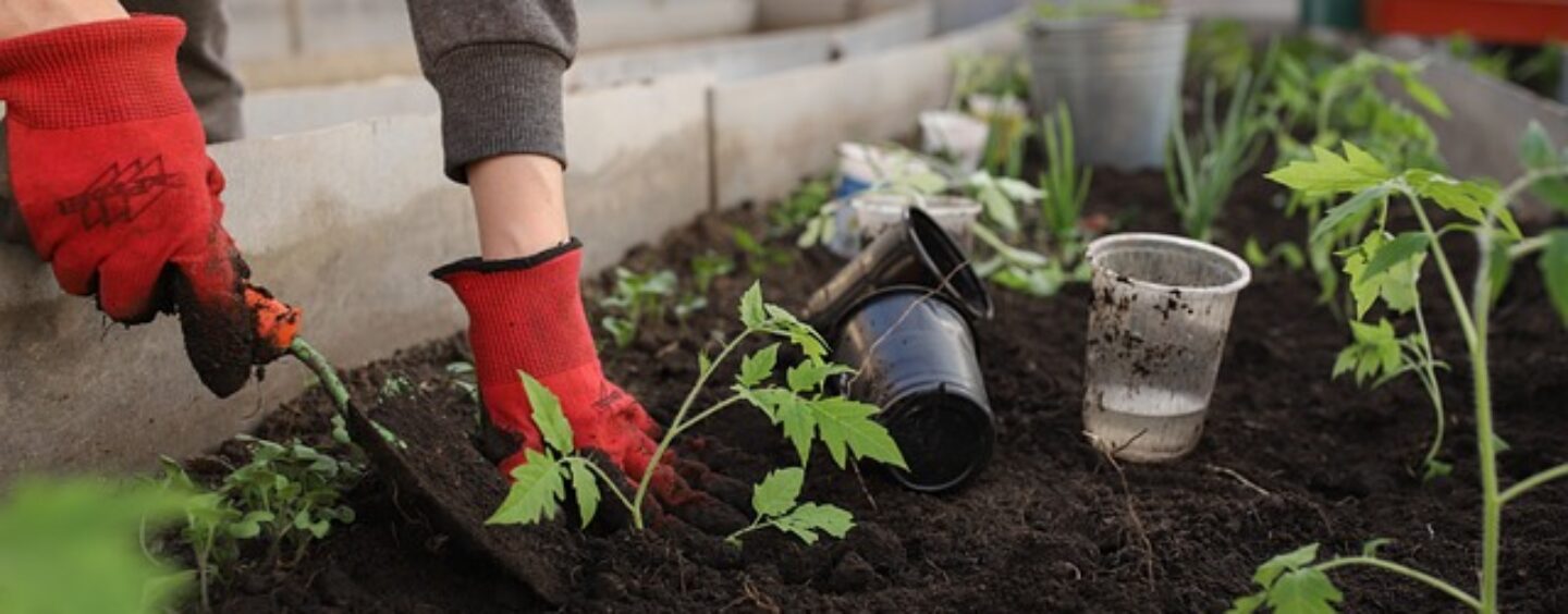 Offerta di lavoro: addetti vendite nel settore bricolage