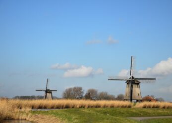 Sviluppo sostenibile: Forum della gioventù ECOSOC