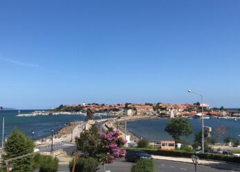 Borse di studio per lingua, letteratura e cultura bulgara a Sofia