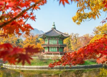 Borse di studio per la Corea del Sud