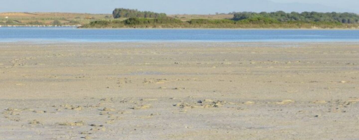 Un premio per la tua tesi su ambiente e sostenibilità