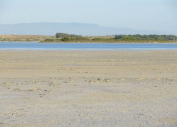 Un premio per la tua tesi su ambiente e sostenibilità