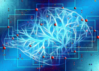 Una sfida per le migliori idee d’impresa