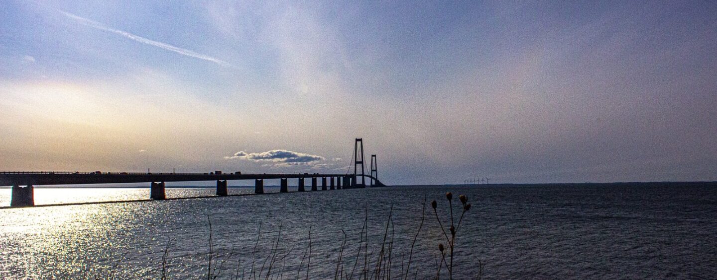 Al Danish refugee council di Odense