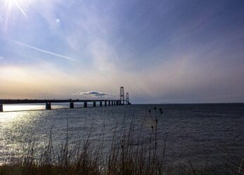 Al Danish refugee council di Odense