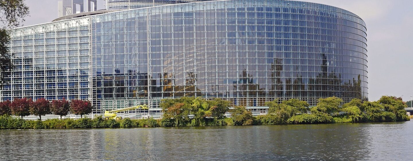 Tirocini Robert Schuman per laureati