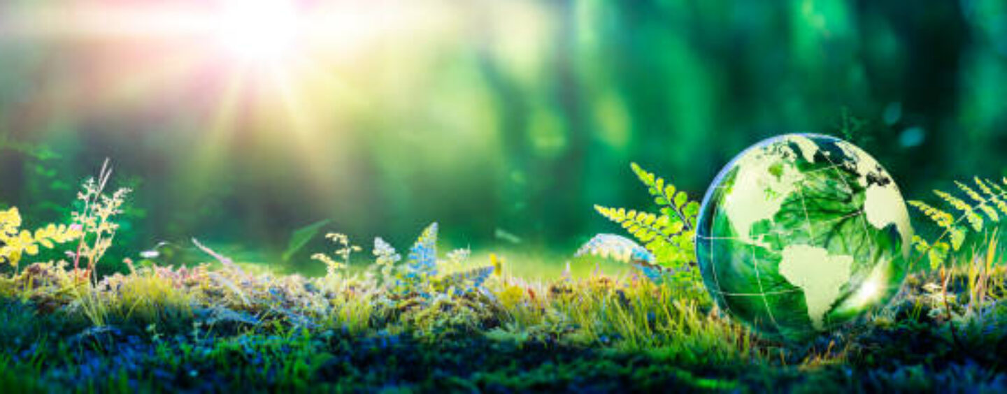 Mobilità sostenibile: sii protagonista del cambiamento!