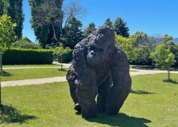 Davide Rivalta. Sogni di Gloria