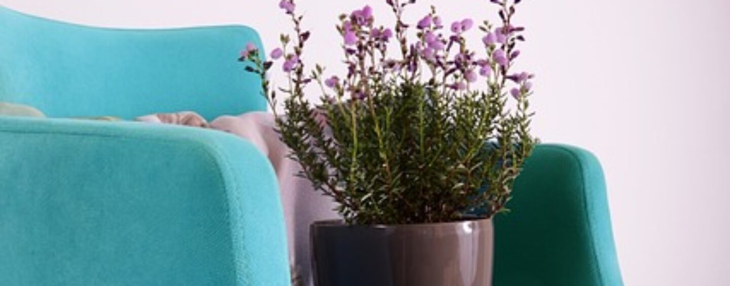 Opportunità come addetti alle vendite in gdo casalinghi