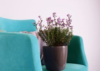 Opportunità come addetti alle vendite in gdo casalinghi