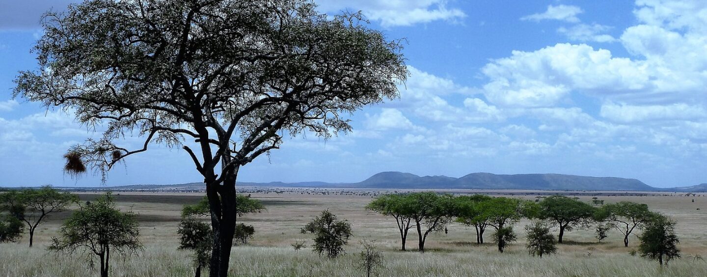 Volontari all’estero con i Corpi civili di pace