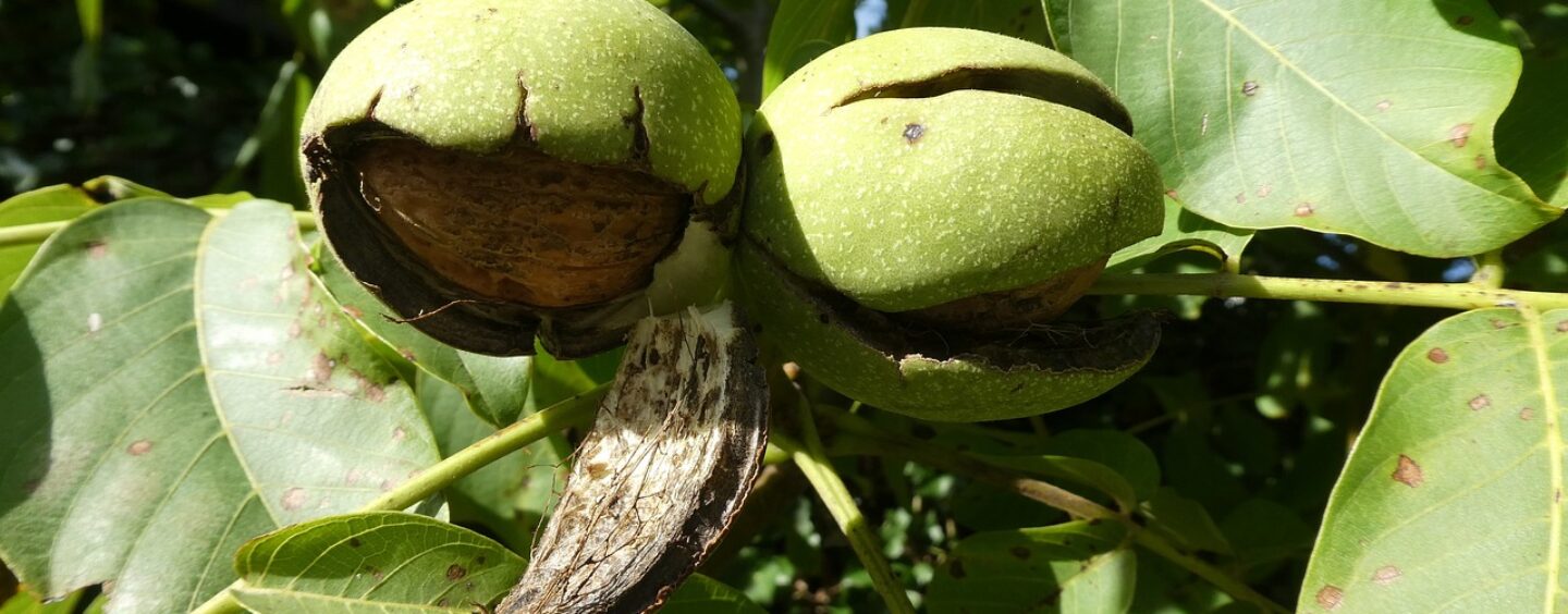 Trasformiamo i sistemi agroalimentari