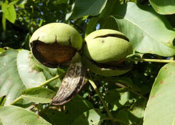 Trasformiamo i sistemi agroalimentari