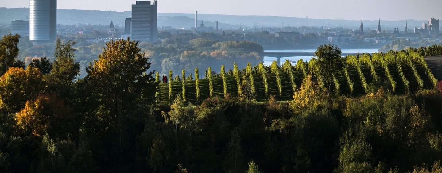 Tirocinio in Germania