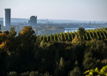 Tirocinio in Germania