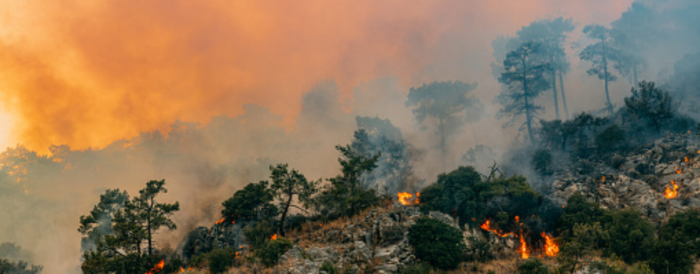 Fotografa l’impatto della crisi climatica a Brescia!